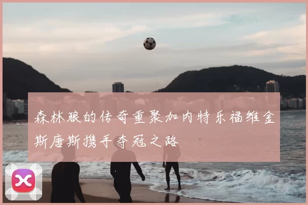 森林狼的传奇重聚加内特乐福维金斯唐斯携手夺冠之路