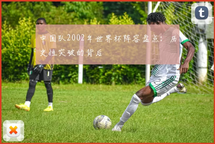 中国队2002年世界杯阵容盘点：历史性突破的背后