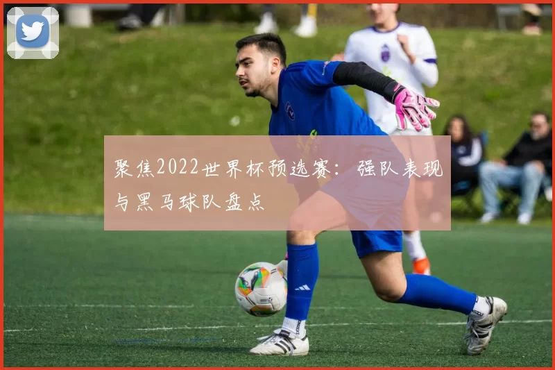 聚焦2022世界杯预选赛:强队表现与黑马球队盘点